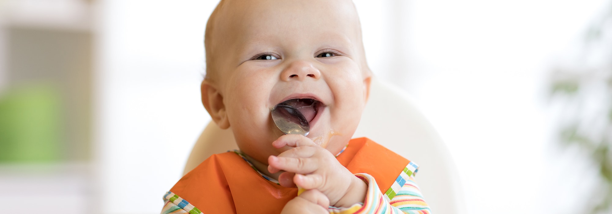 Decouvrez Nos Petits Pots Pour Bebe Bio La Vie Claire