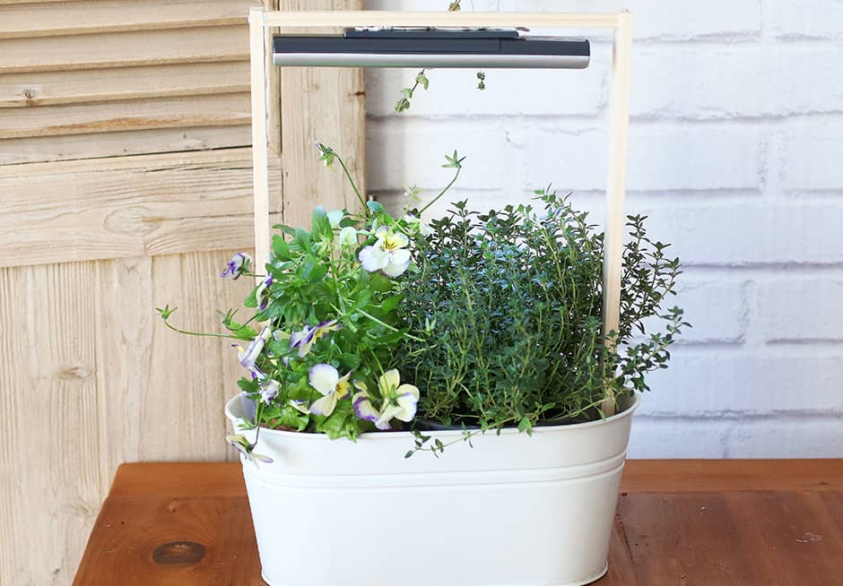 Fabriquer une petite jardinière pour plantes aromatiques dans la